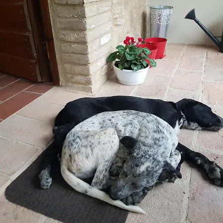 Tenuta Del Colle Gospodarstwo agroturystyczne Gubbio