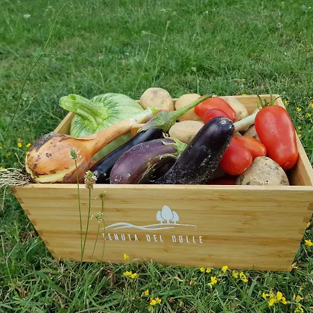 Tenuta Del Colle * グッビオ