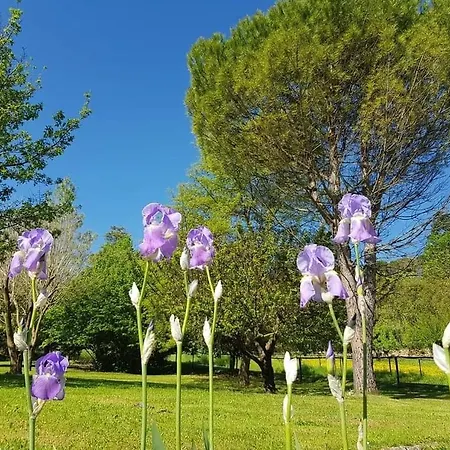 Tenuta Del Colle *