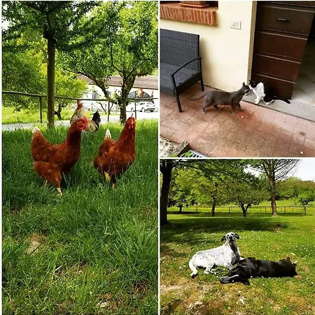 Gospodarstwo agroturystyczne Tenuta Del Colle