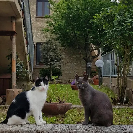 Tenuta Del Colle Gospodarstwo agroturystyczne *