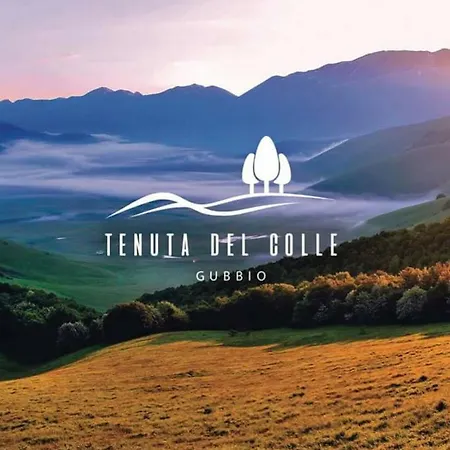 Tenuta Del Colle